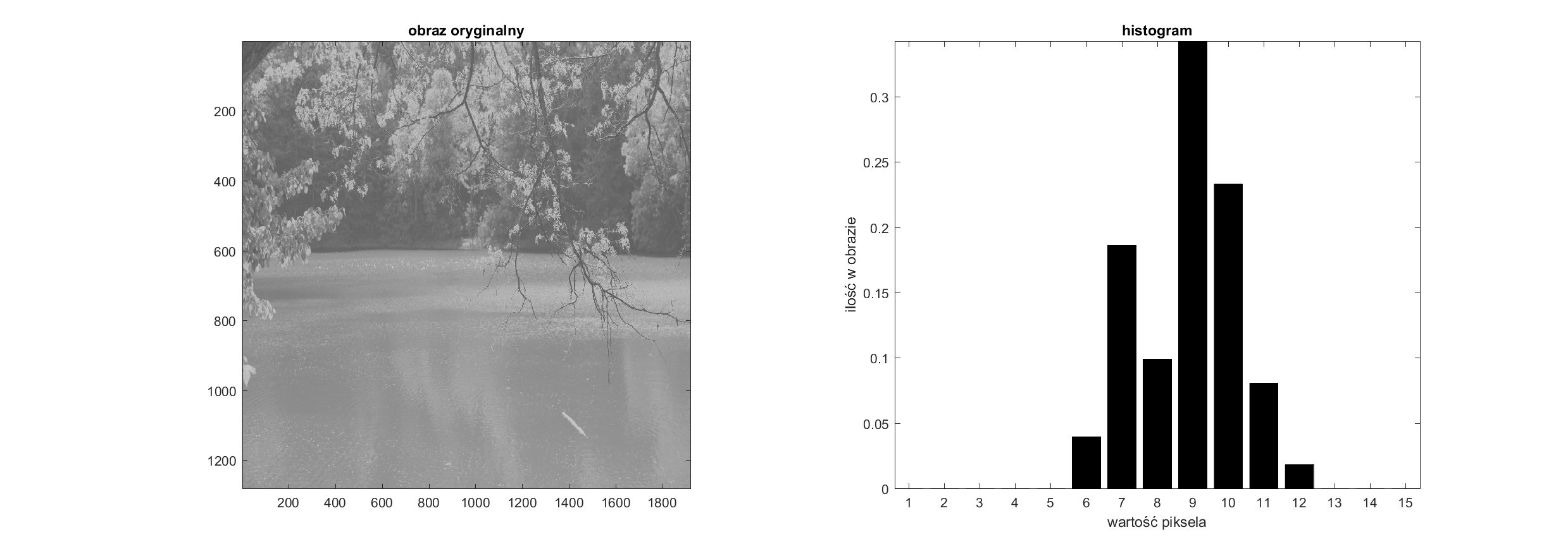 Histogram z normalizacją - 15 przedziałów jasności