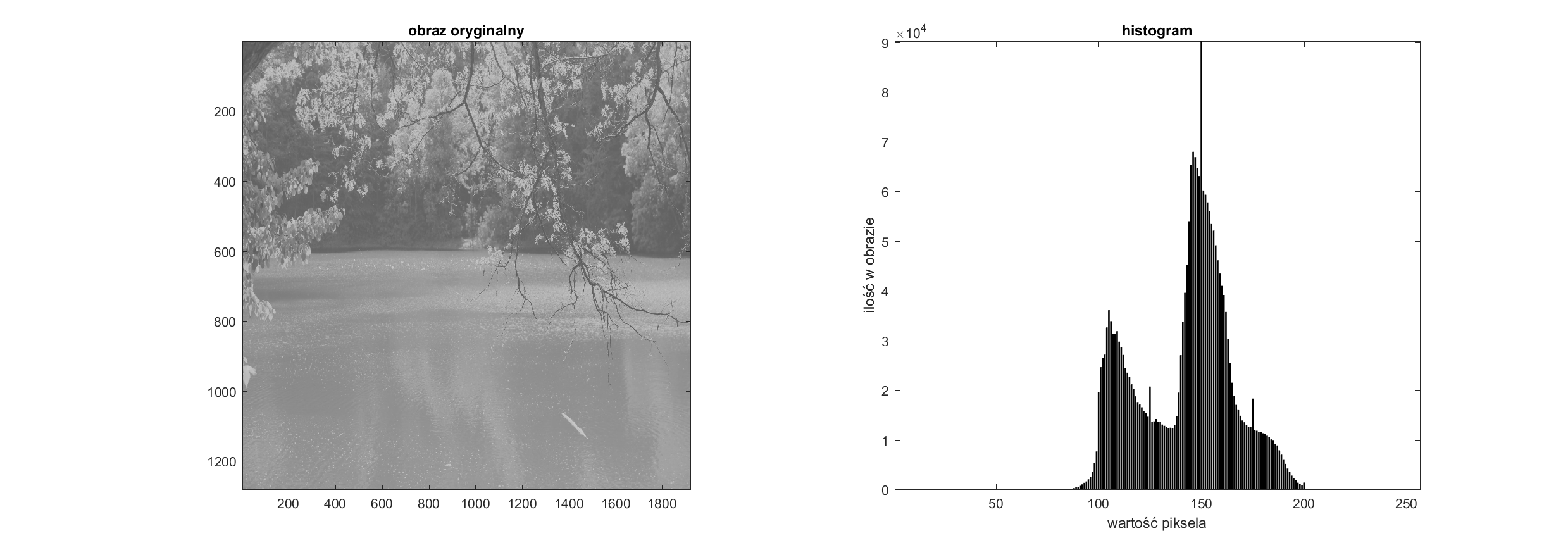 Histogram bez normalizacji - 256 przedziałów jasności