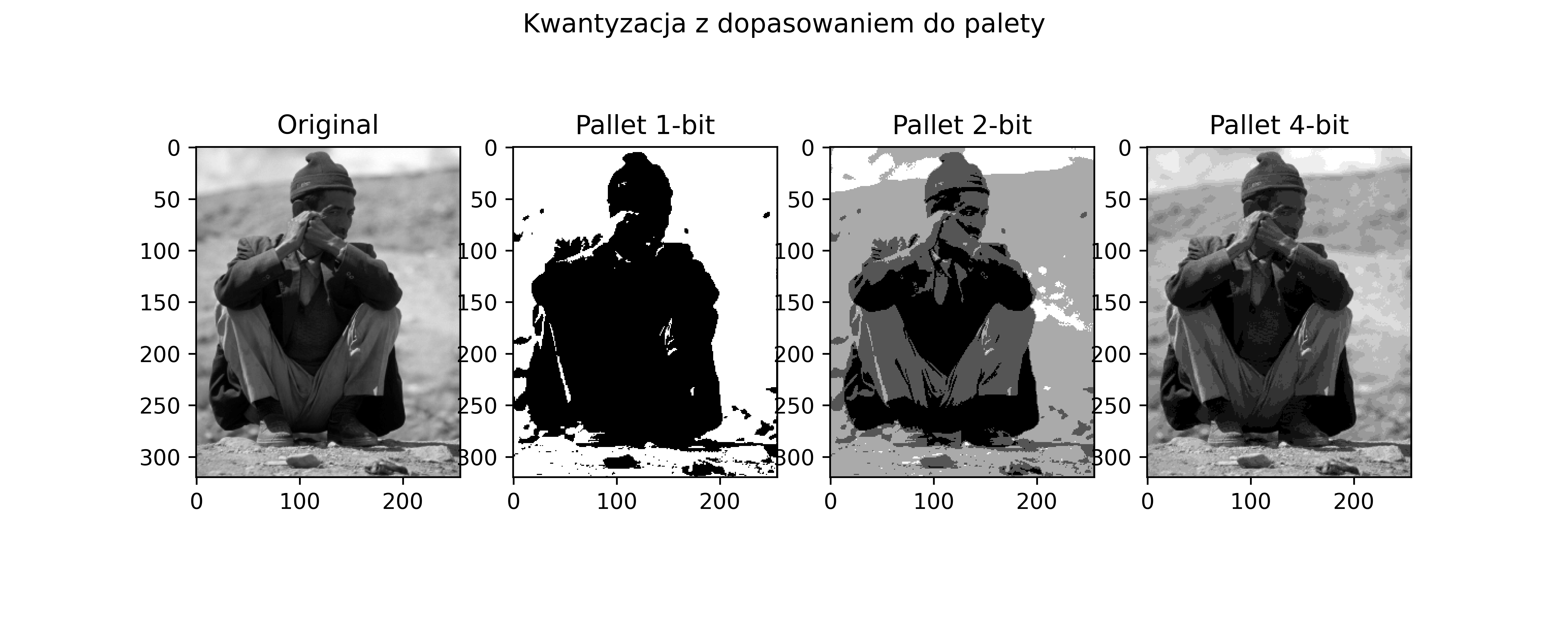 Przykład zmiany rozdzielczości bitowej dla obrazów w skali odcieni szarości